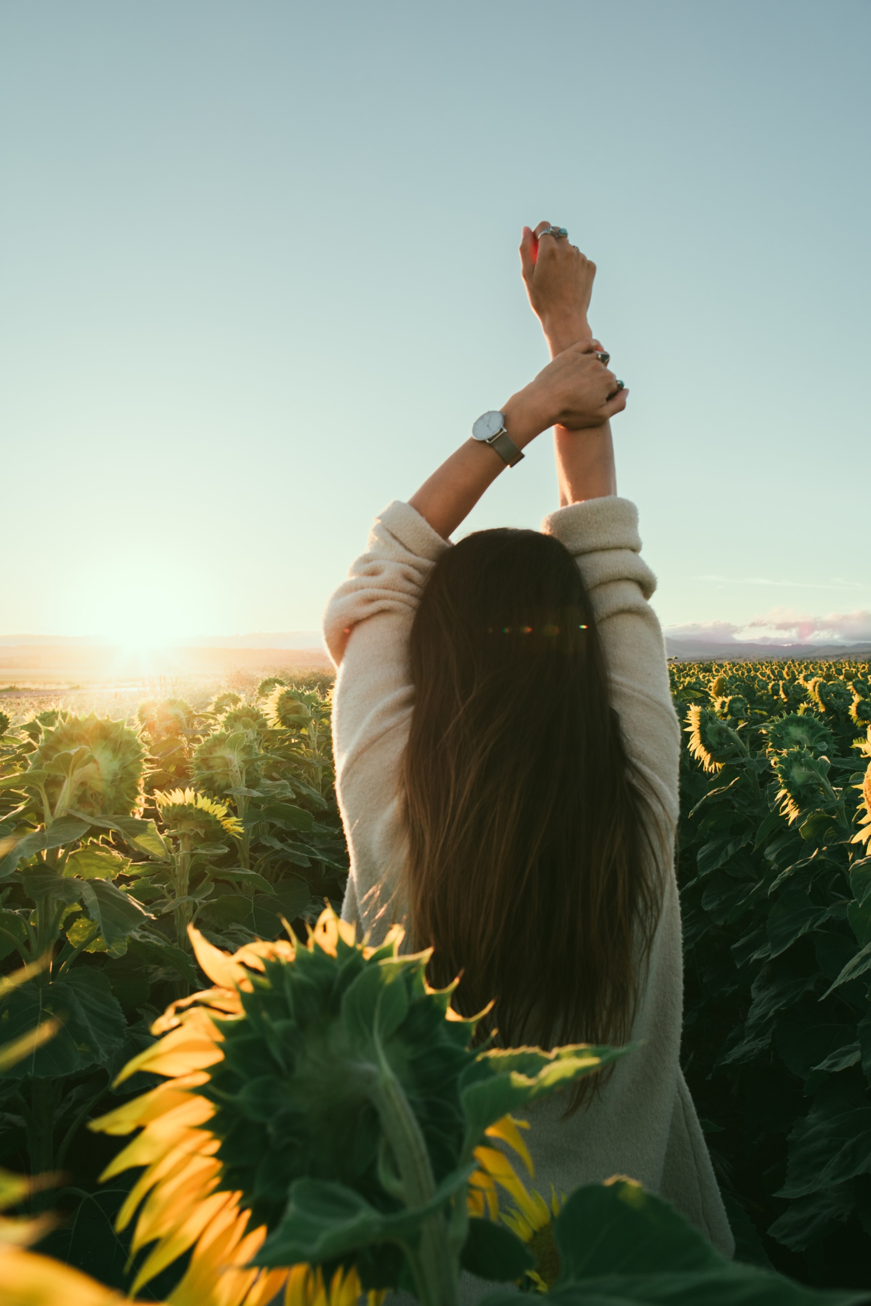 Donna di spalle in un campo di girasoli